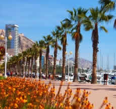 Alicante